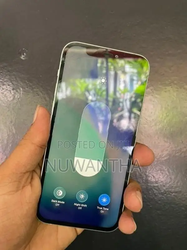 Apple iPhone 12 (Used)