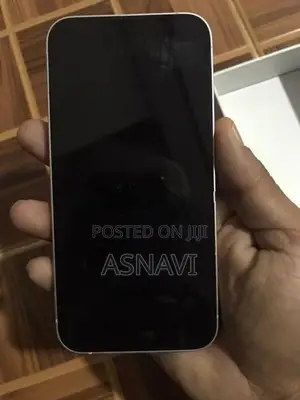 Apple iPhone 13 (Used)