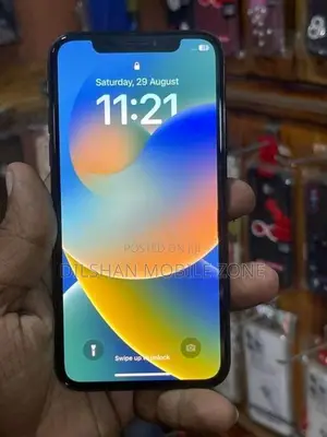 Apple iPhone X 256GB (Used)