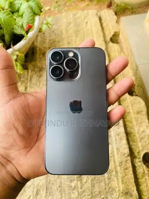 Apple iPhone 13 Pro 256 (Used)