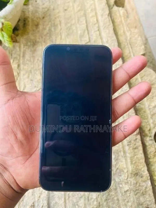 Apple iPhone 13 Pro 256 (Used)