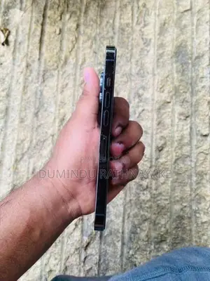 Apple iPhone 13 Pro 256 (Used)
