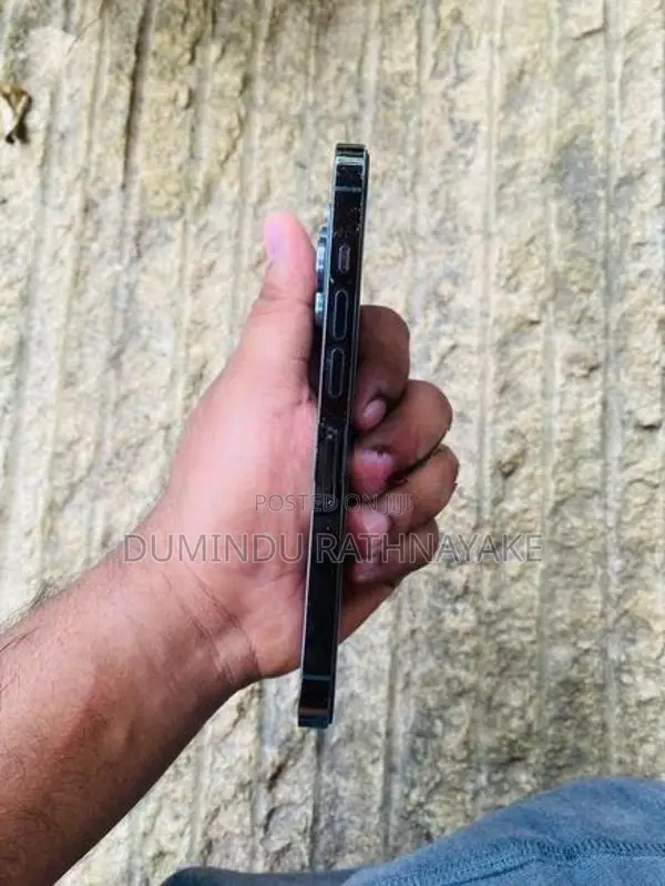 Apple iPhone 13 Pro 256 (Used)