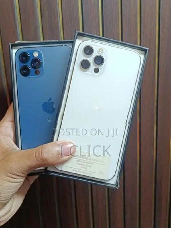 Apple iPhone 12 Pro 256GB (Used)