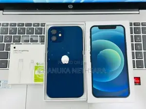 Apple iPhone 12 (Used)