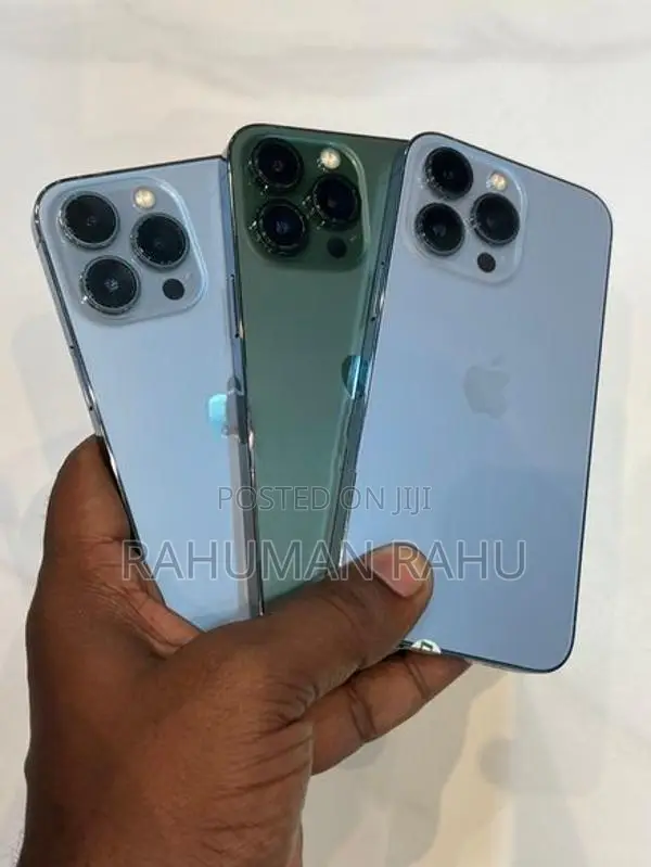 Apple iPhone 13 Pro 256GB (Used)