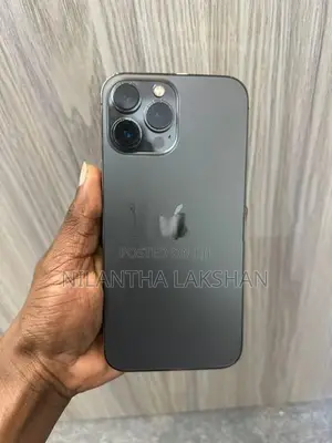 Apple iPhone 13 Pro Max (Used)
