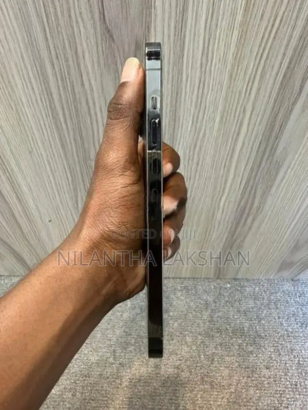 Apple iPhone 13 Pro Max (Used)