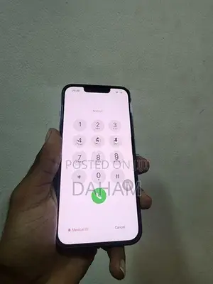 Apple iPhone 13 Pro (Used)