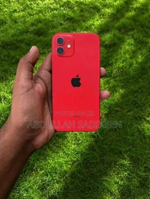 Apple iPhone 12 (Used)