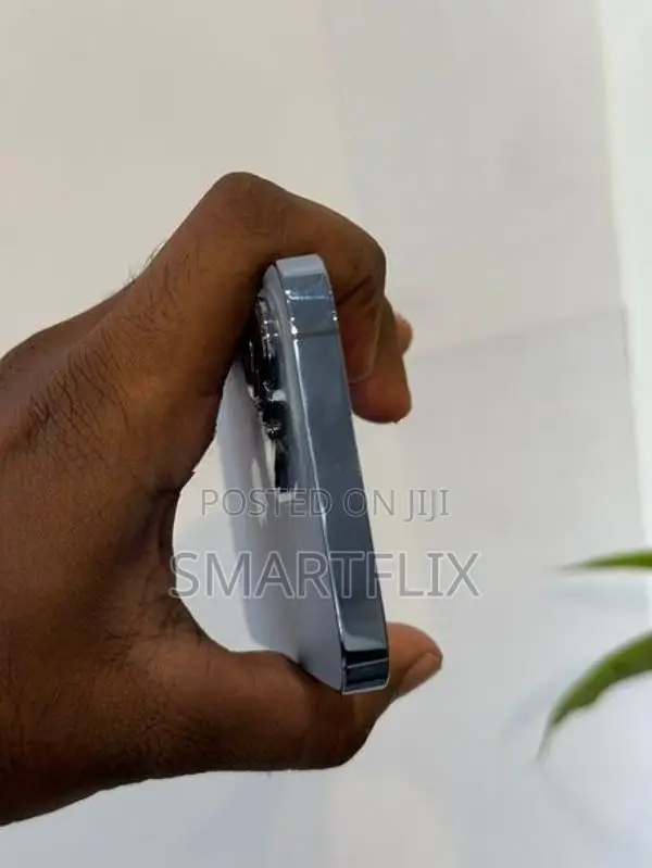 Apple iPhone 13 Pro (Used)