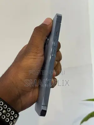 Apple iPhone 13 Pro (Used)