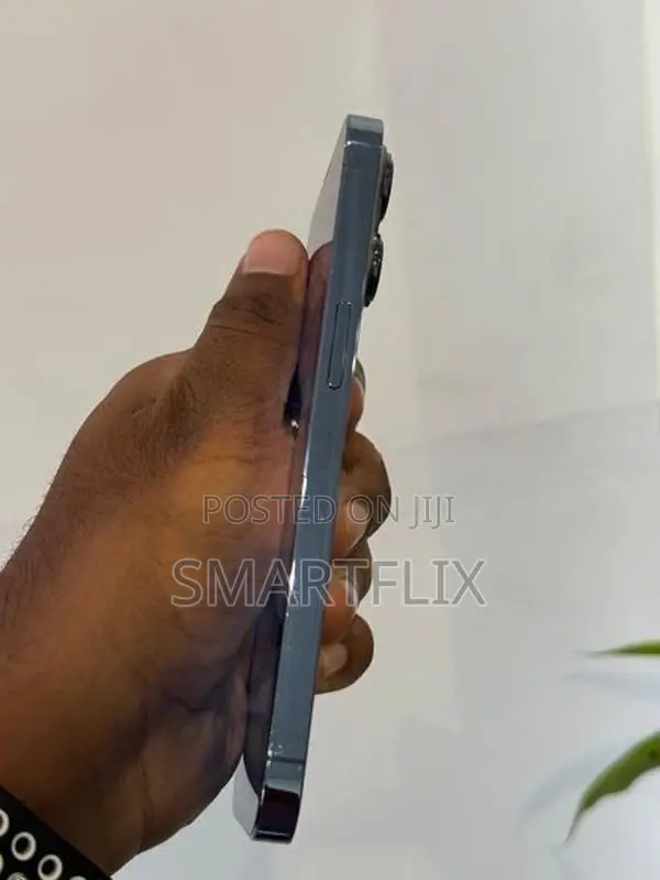 Apple iPhone 13 Pro (Used)