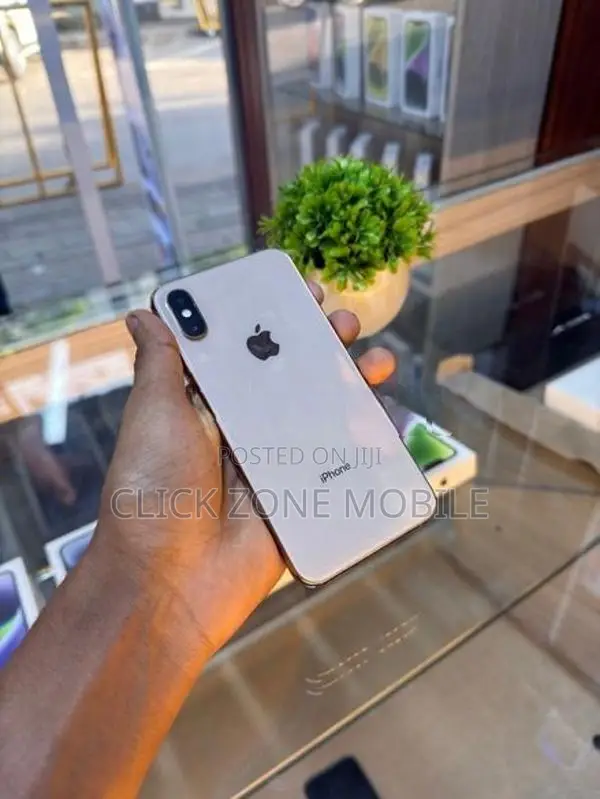 Apple iPhone XS 256GB (Used)