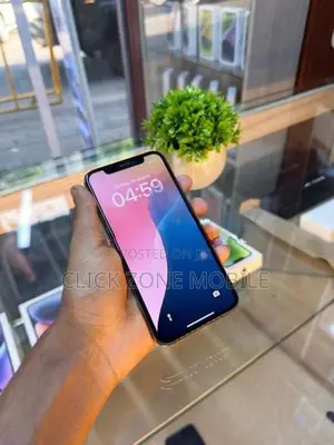 Apple iPhone XS 256GB (Used)