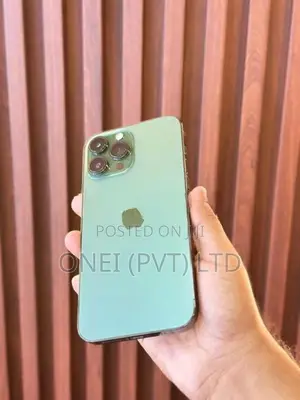 Apple iPhone 13 Pro Max 256GB (Used)