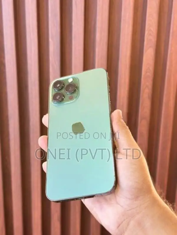 Apple iPhone 13 Pro Max 256GB (Used)