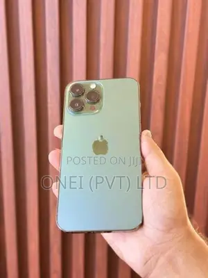 Apple iPhone 13 Pro Max 256GB (Used)