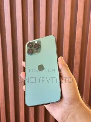 Apple iPhone 13 Pro Max 256GB (Used)