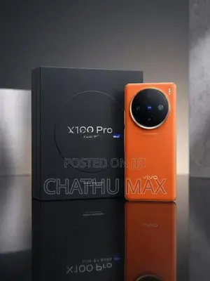 Vivo X100 Pro (Used)