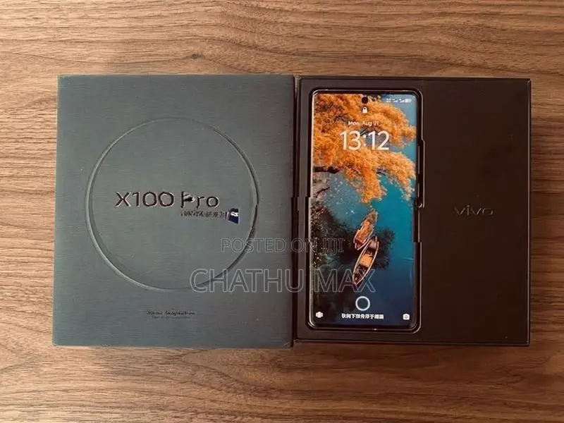 Vivo X100 Pro (Used)