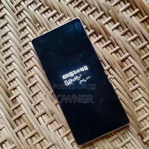 Samsung Galaxy S25 Ultra 12/256GB (Used)
