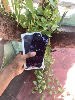 Apple iPhone 13 128 (Used)