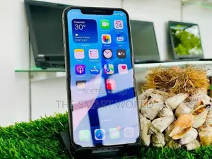 Apple iPhone XS 256GB (Used)