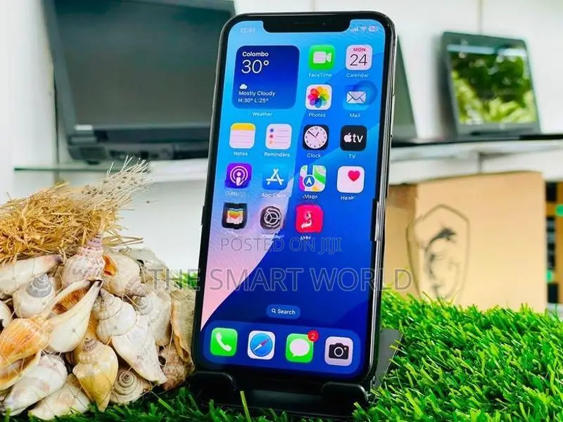 Apple iPhone XS 256GB (Used)