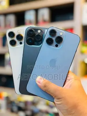 Apple iPhone 13 Pro 256GB (Used)