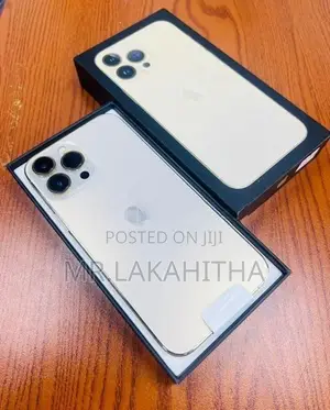 Apple iPhone 13 Pro Max 128GB (Used)