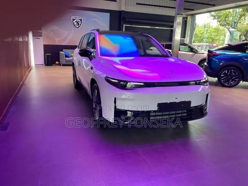 Leapmotor C10 Reev 2024