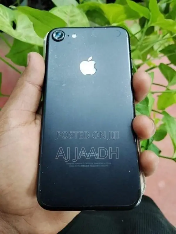 Apple iPhone 7 (Used)