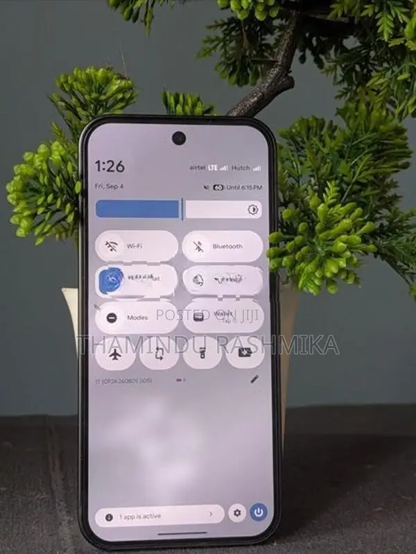 Google Pixel 9 Global (Used)
