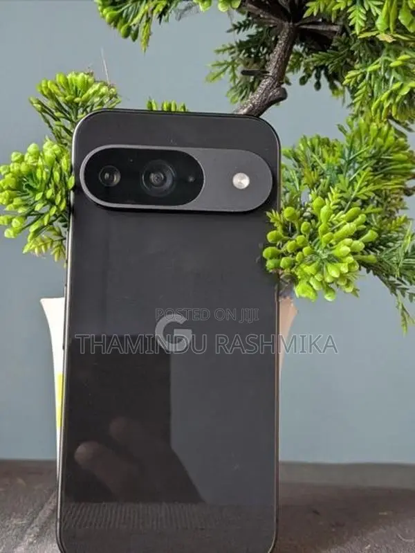 Google Pixel 9 Global (Used)