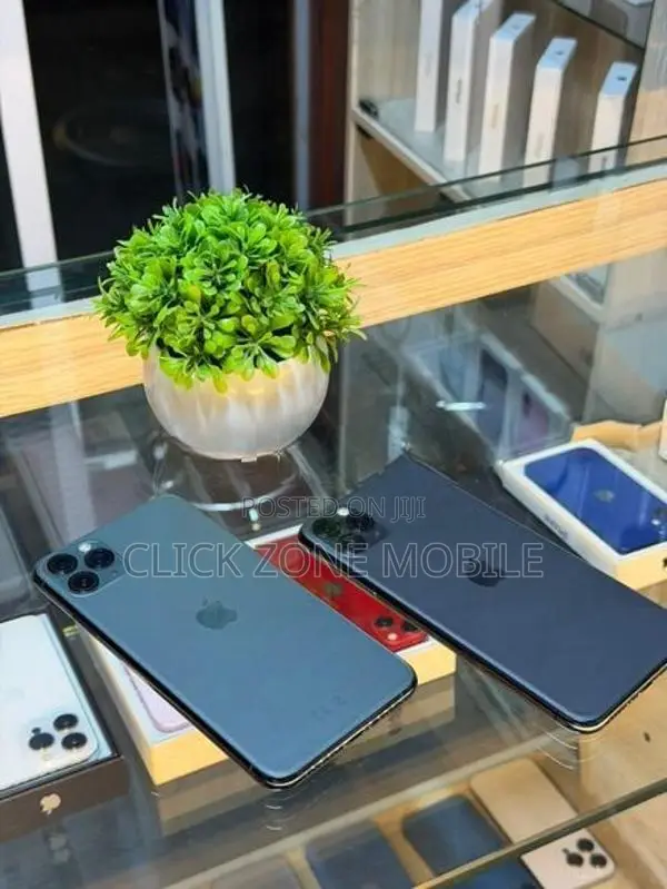 Apple iPhone 11 Pro Max 256GB (Used)