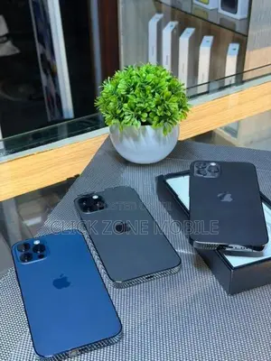 Apple iPhone 12 Pro 256GB (Used)