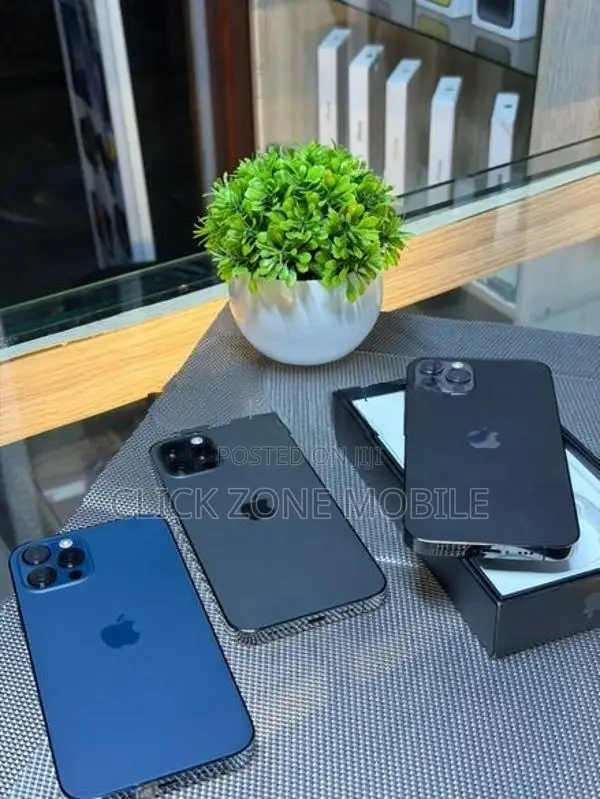 Apple iPhone 12 Pro 256GB (Used)