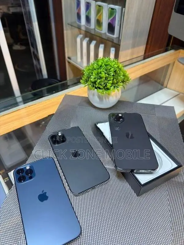 Apple iPhone 12 Pro 256GB (Used)