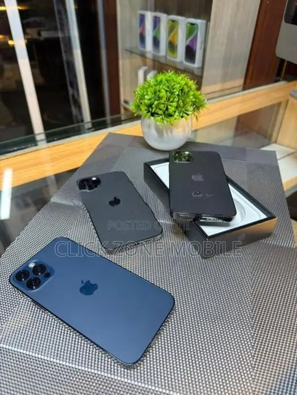 Apple iPhone 12 Pro 256GB (Used)