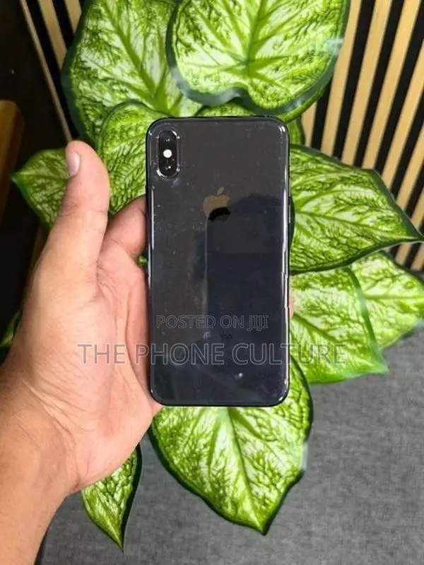 Apple iPhone X 256GB (Used)