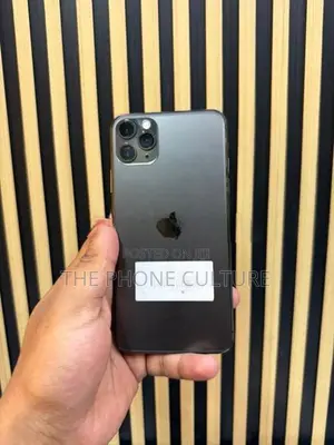 Apple iPhone 11 Pro Max 256GB (Used)