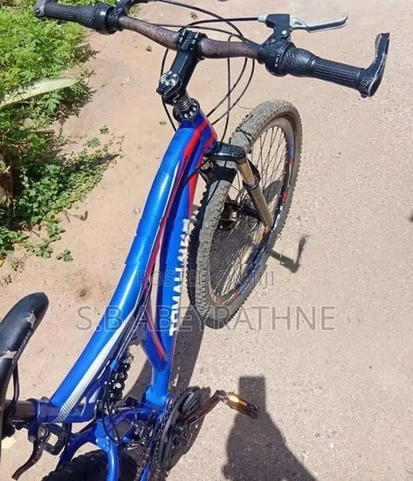 Tomahawk GT3 XL Bicycle (Size 26)
