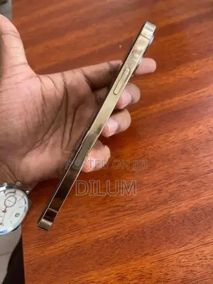 Apple iPhone 12 Pro (Used)