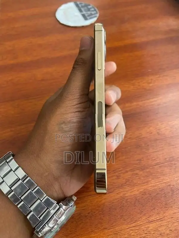Apple iPhone 12 Pro (Used)