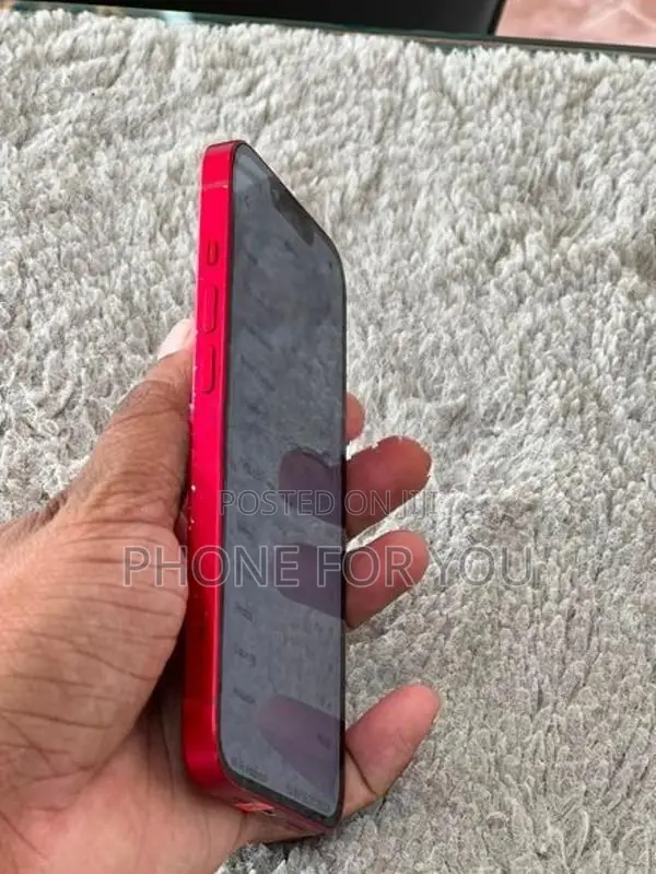 Apple iPhone 13 (Used)