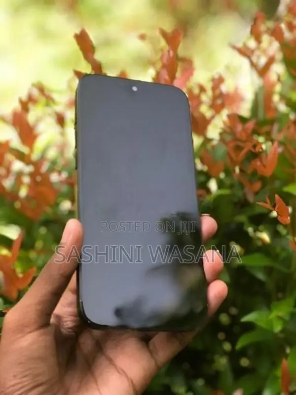 Apple iPhone 16 Pro Max (Used)