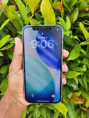 Apple iPhone 12 (Used)