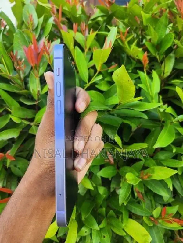 Apple iPhone 12 (Used)