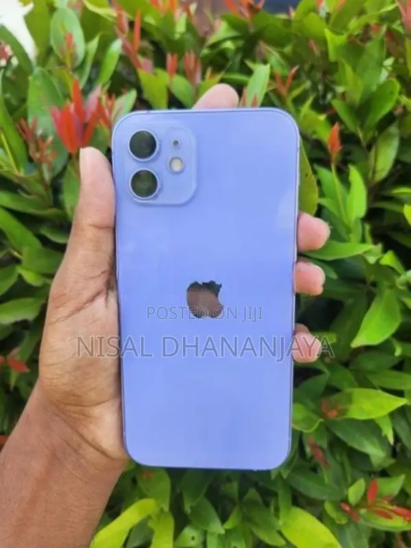 Apple iPhone 12 (Used)